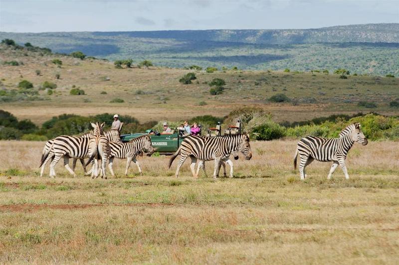 Kwandwe Private Game Reserve - Great Fish River Lodge Grahamstown Exterior foto